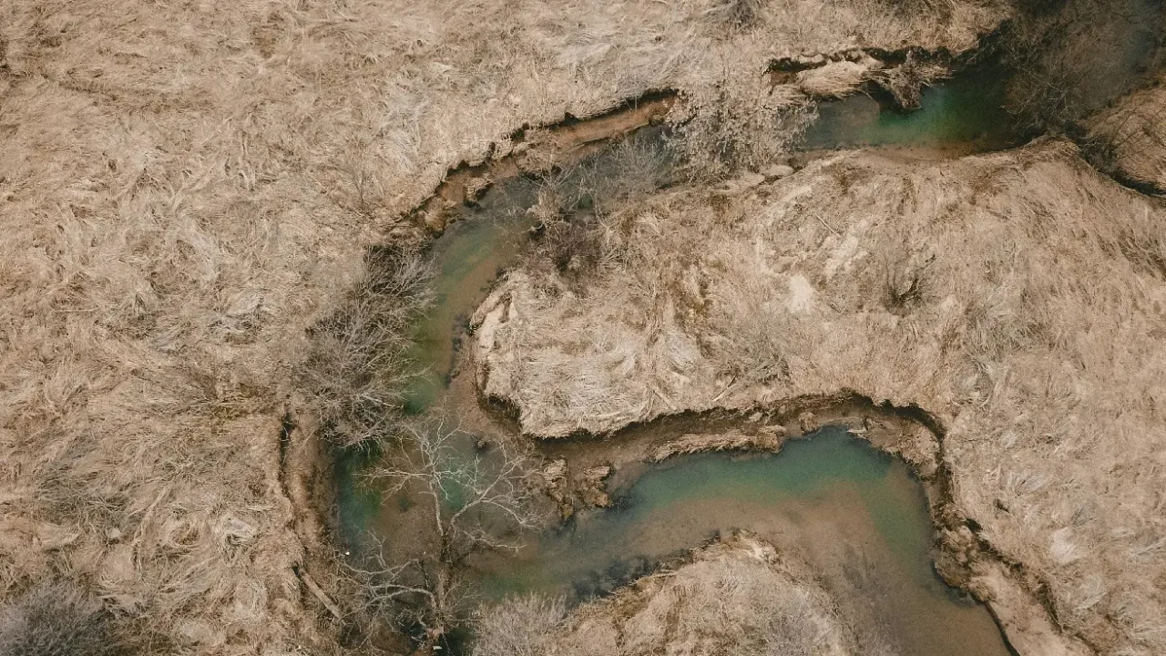 aerial view of a drying river with dried vegetation at the sides