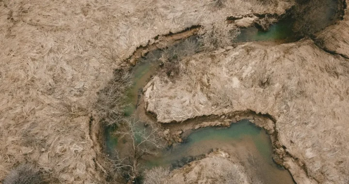 aerial view of a drying river with dried vegetation at the sides