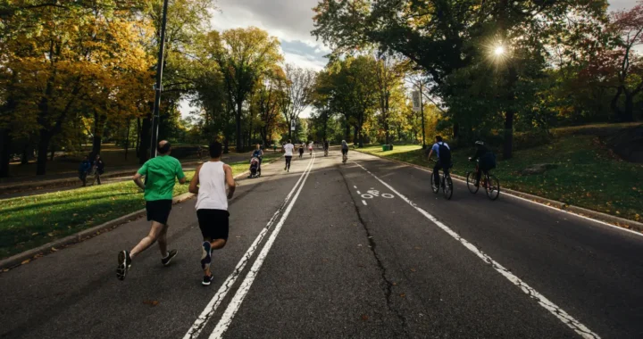 people running and biking at a park