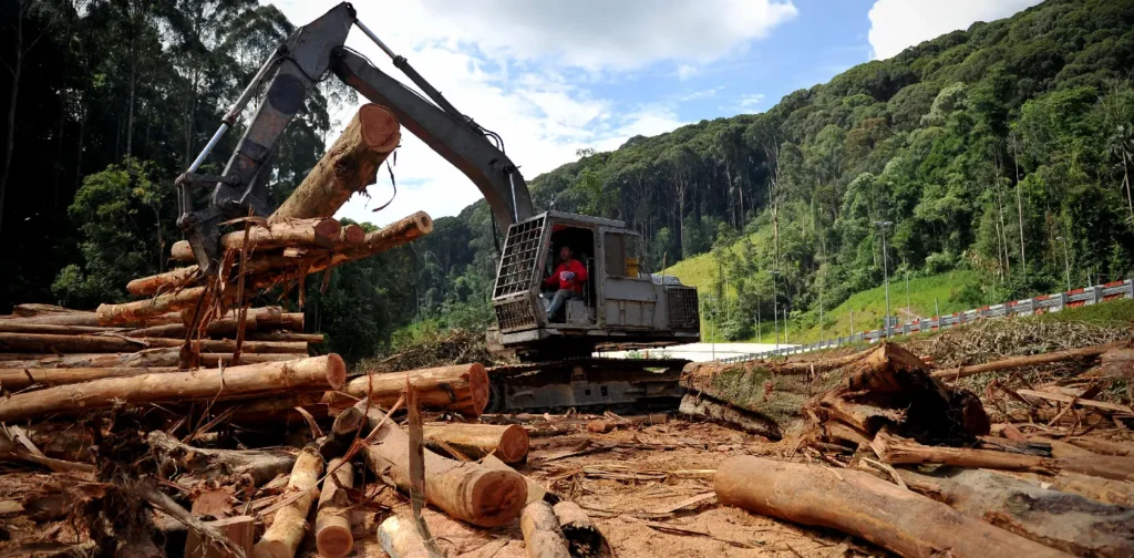 heavy machinery carrying large chunks of woods near a forest