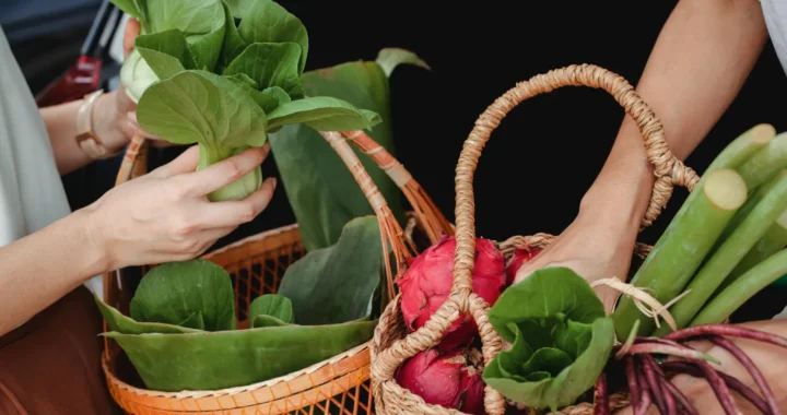 shopping baskets filled with vegetables