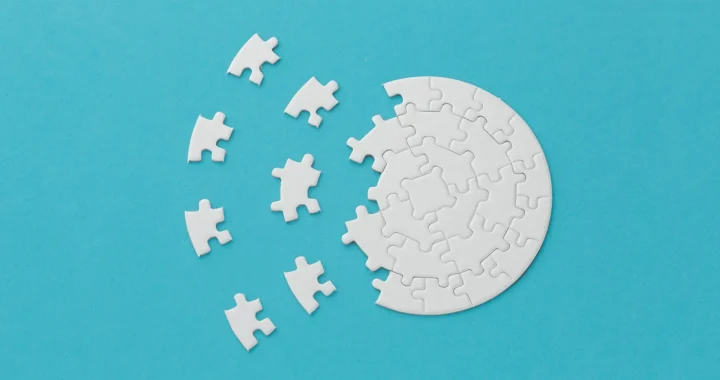 a photo of spread out puzzle pieces