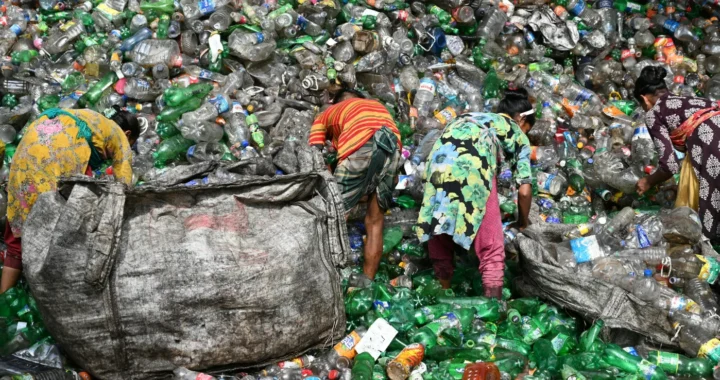 four women sorting out plastic waste in a landfill