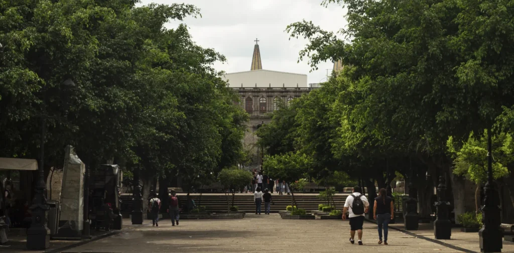 urban park with trees and groups of people walking