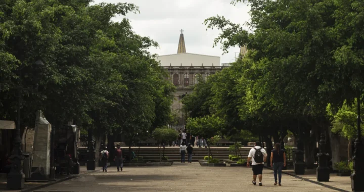 urban park with trees and groups of people walking