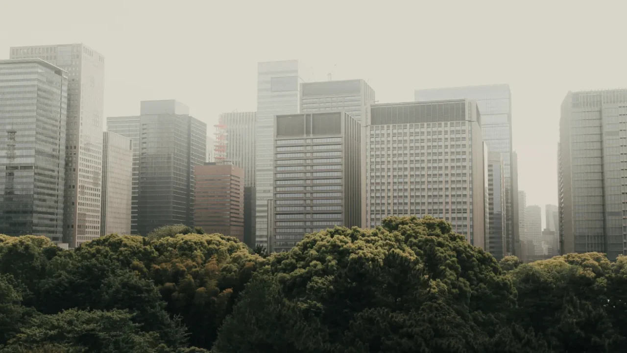 a photo of trees in front of tall buildings