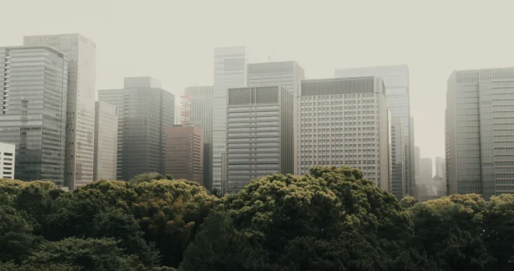 a photo of trees in front of tall buildings