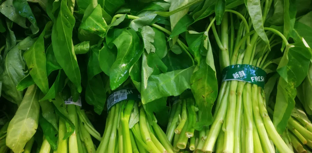 A few bunch of fresh water spinach