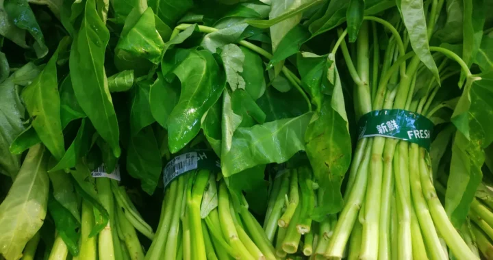 A few bunch of fresh water spinach