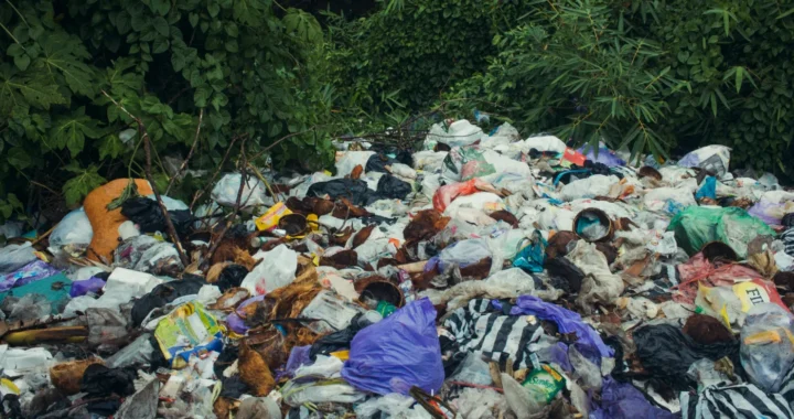 pile of plastic waste near shrubs and trees