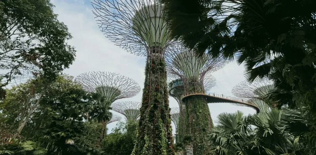 an upward shot of gardens by the bay in singapore with trees and architecture