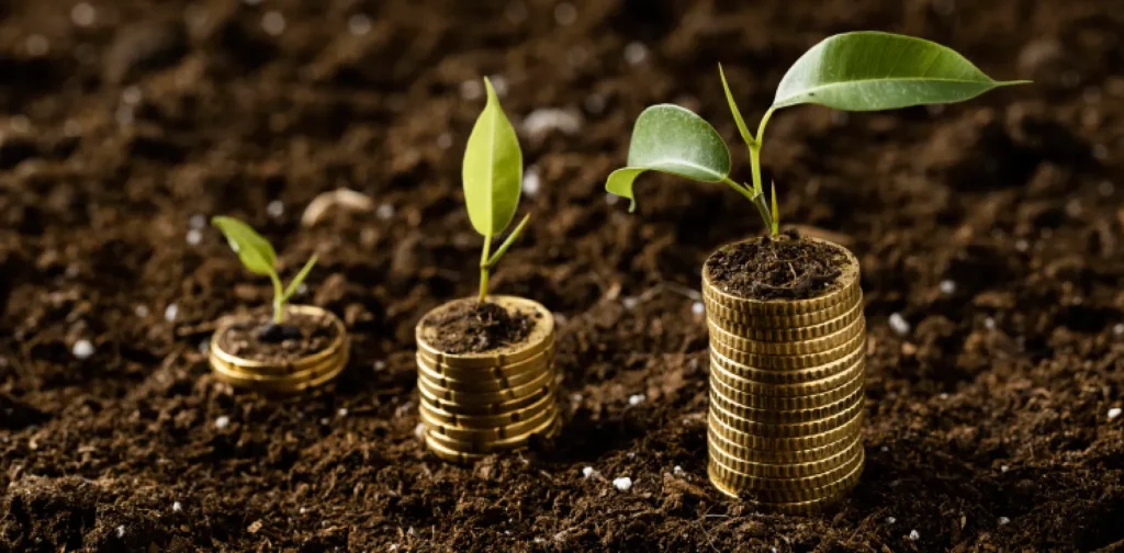 High angle of coins stacked on dirt with plants