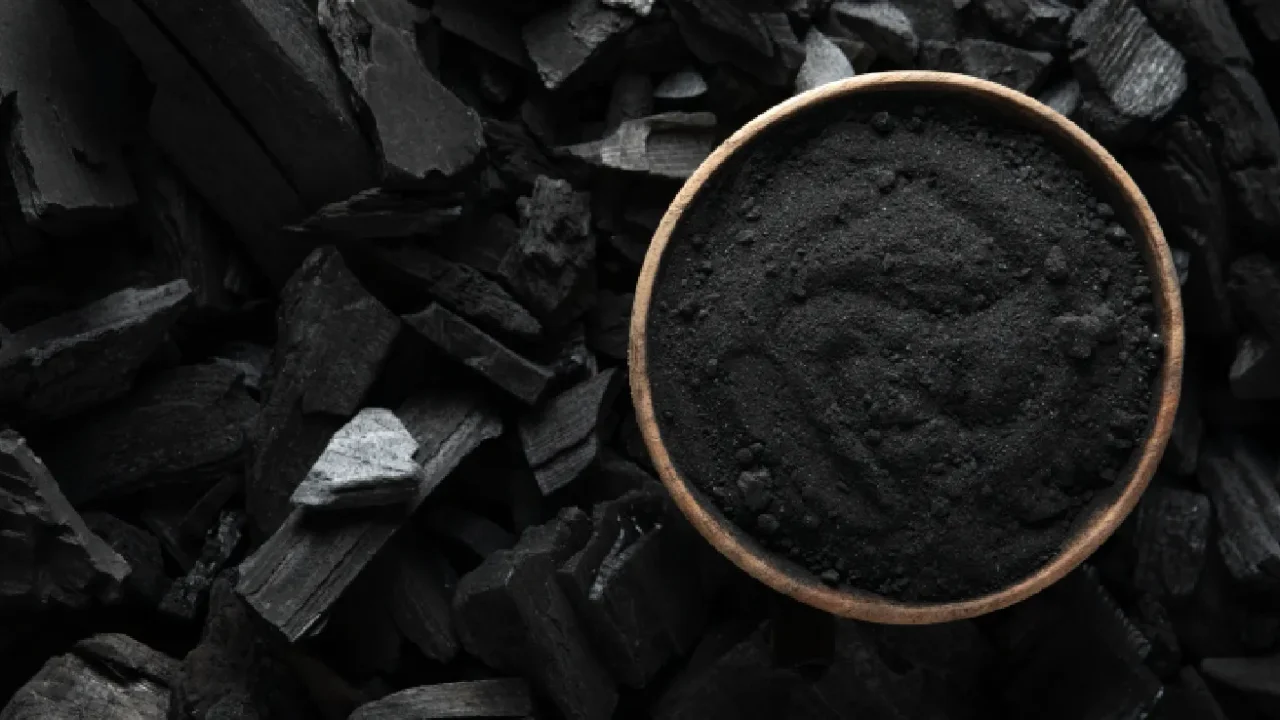 Charcoal chip and charcoal ashes.