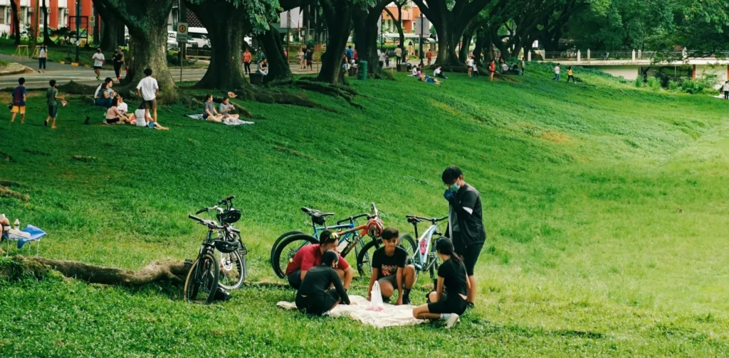 a group of people having a picnic in a park