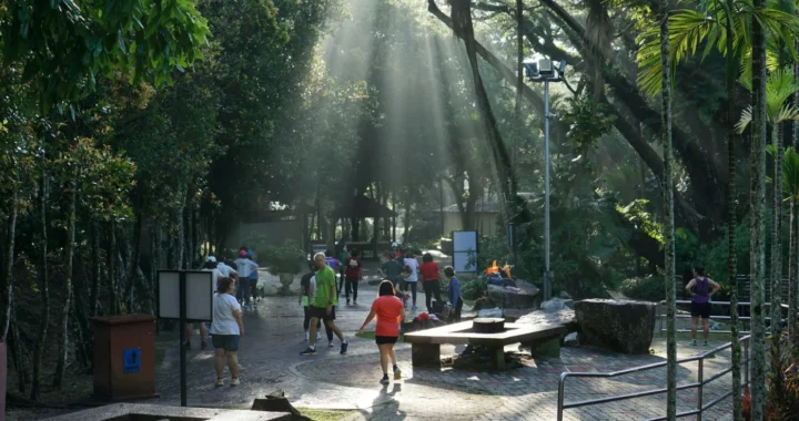 diverse group of people doing physical activity at a city park surrounded by trees in penang, malaysia