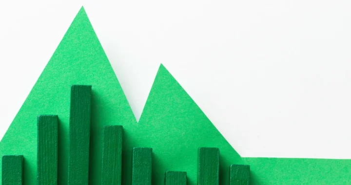 green wooden blocks formed as graphs