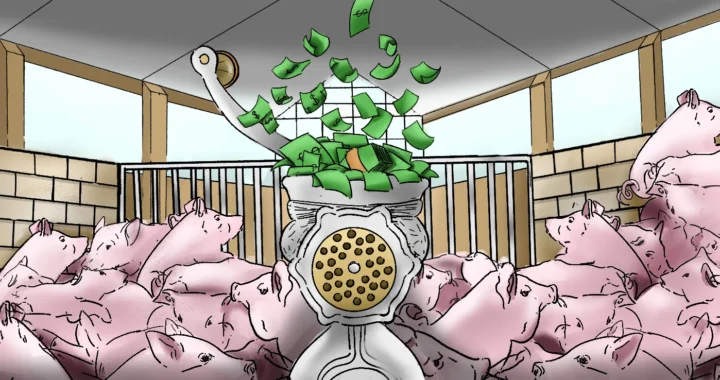 meat grinder in pig farm