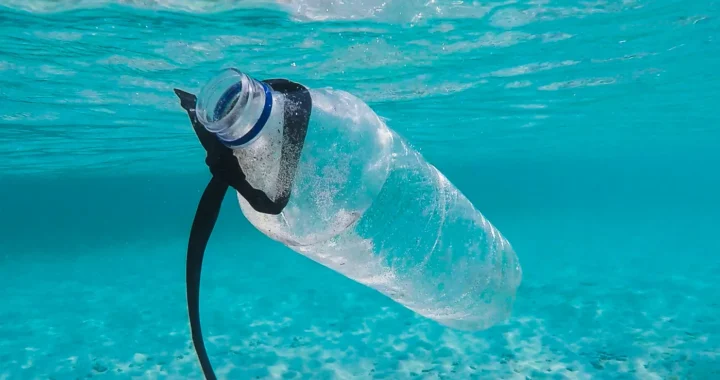 a plastic bottle floating in the ocean