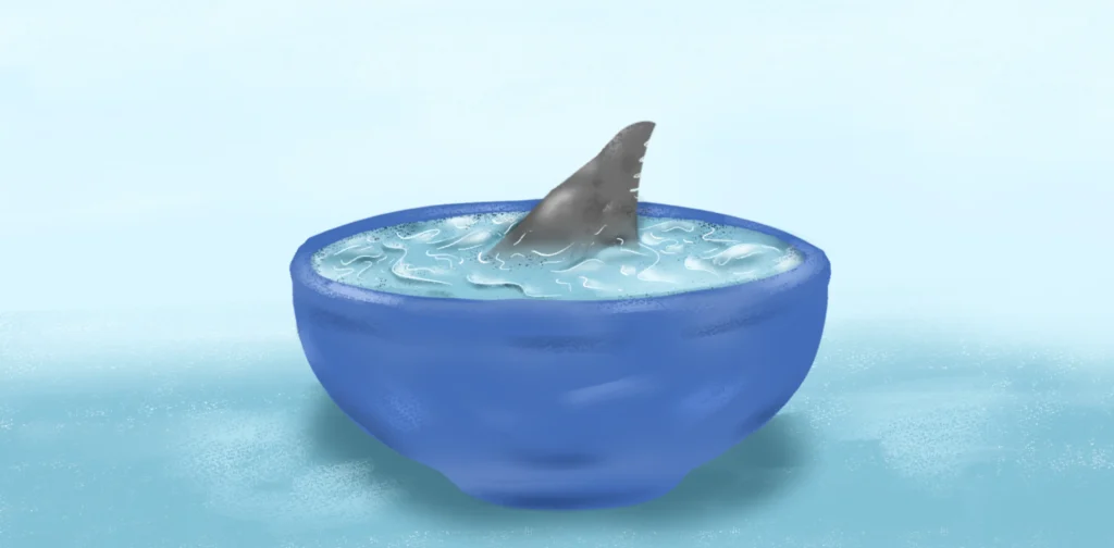 A small bowl filled with water, with a shark fin breaking the surface