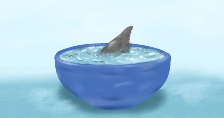 A small bowl filled with water, with a shark fin breaking the surface