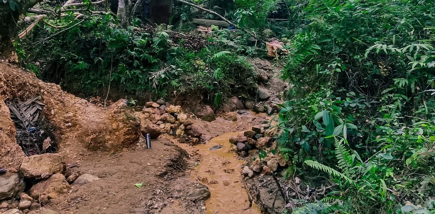 road with erosion in the middle of a forest
