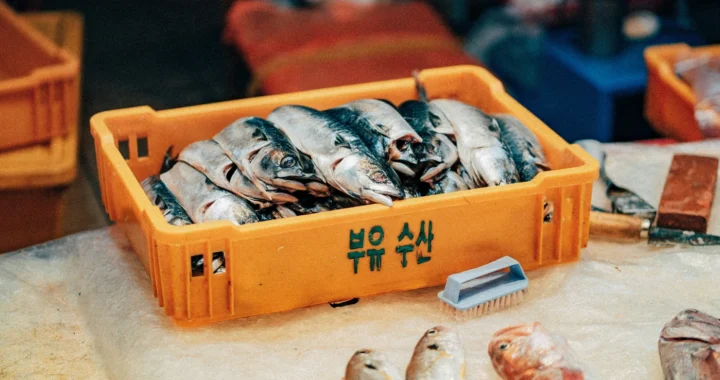 a tray of fish with other seafood and knives surrounding it on a board