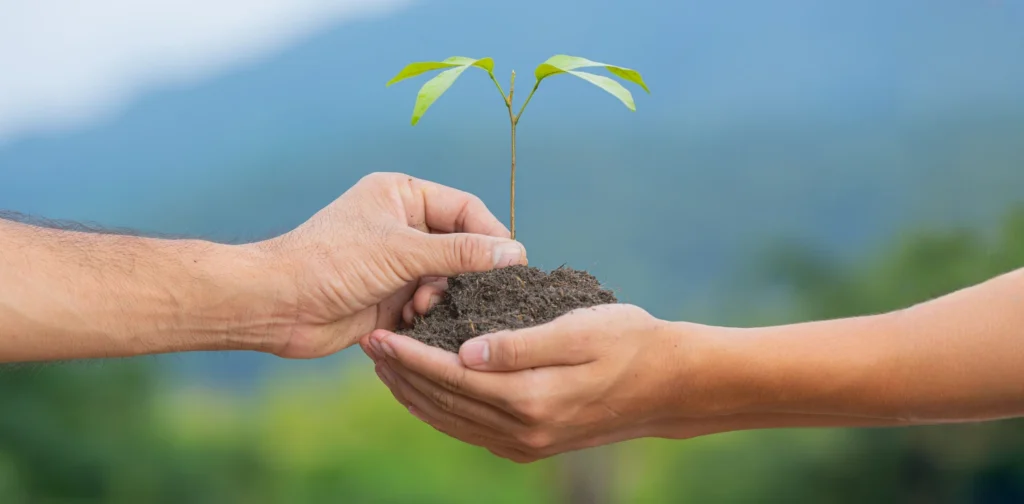 two joined hands holding plant seedling