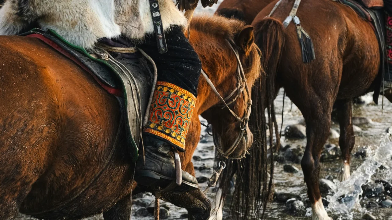 people riding horses on river
