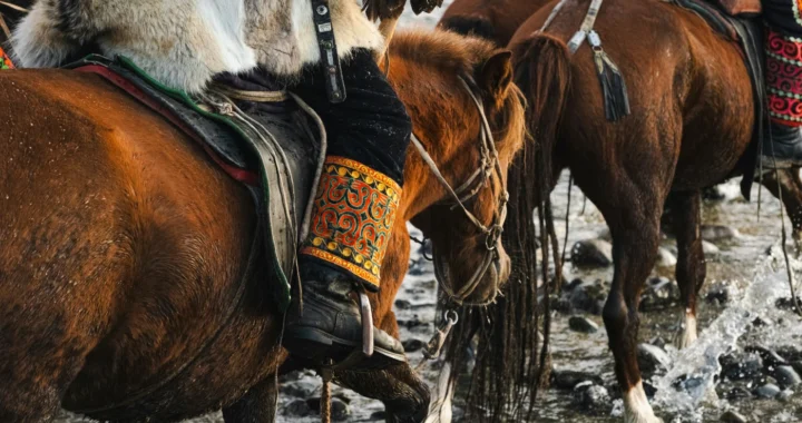 people riding horses on river
