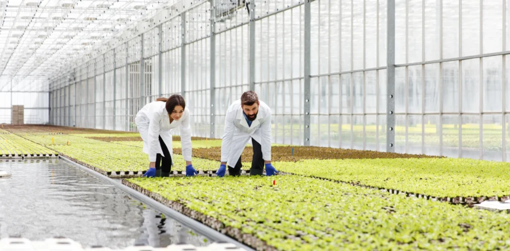 woman and man wearing lab robes in greenhouse working on agricultural productivity
