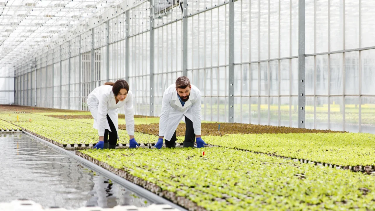 woman and man wearing lab robes in greenhouse working on agricultural productivity