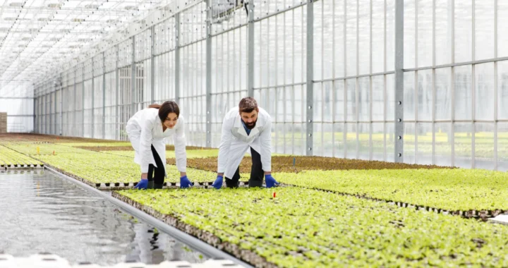 woman and man wearing lab robes in greenhouse working on agricultural productivity
