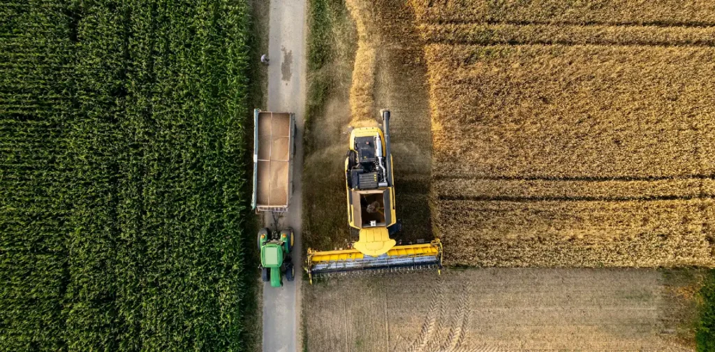 An aerial view of a combine harvester and a tractor with a trailer working in adjacent fields, one green and the other golden from the harvest.