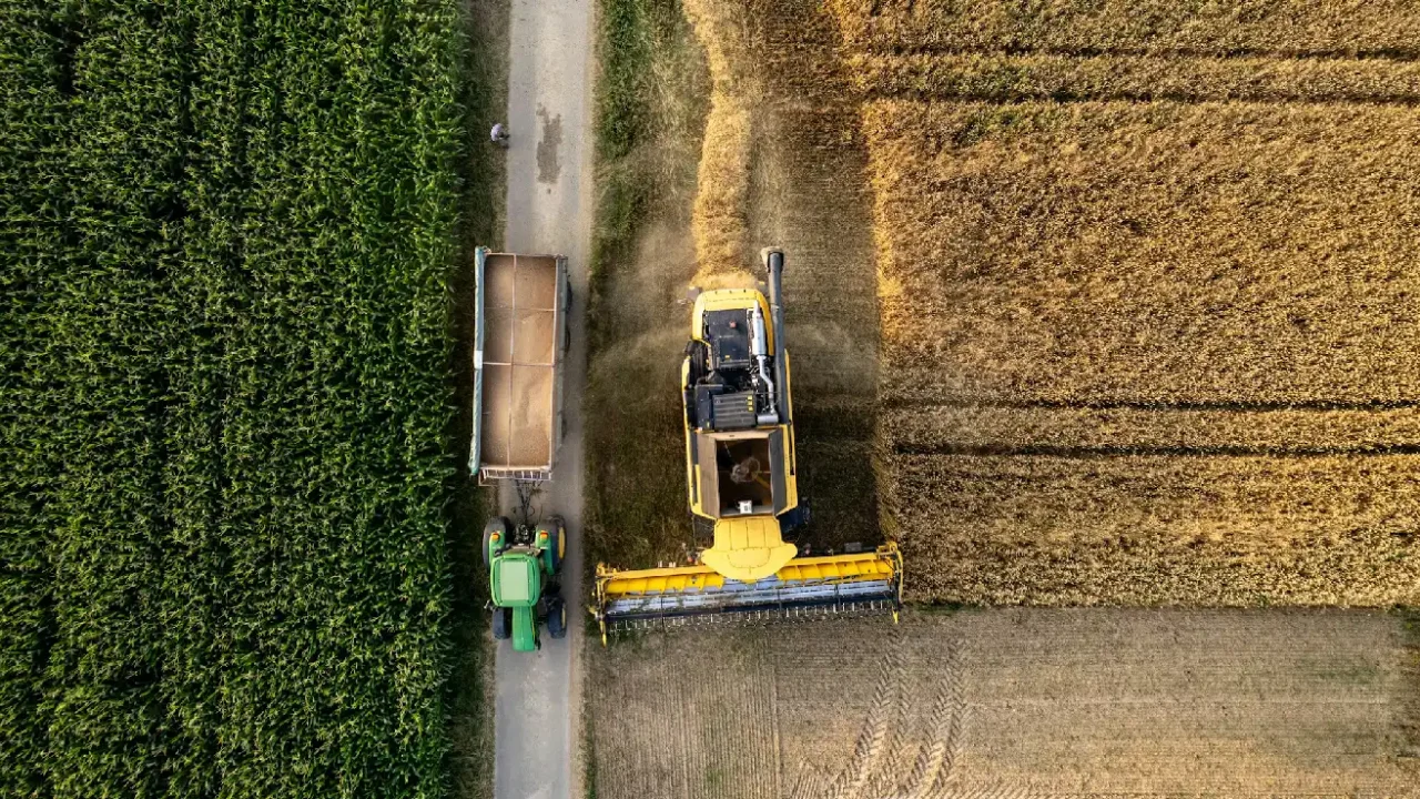 An aerial view of a combine harvester and a tractor with a trailer working in adjacent fields, one green and the other golden from the harvest.