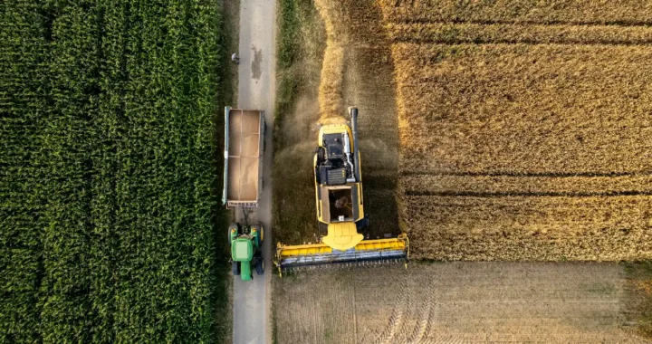 An aerial view of a combine harvester and a tractor with a trailer working in adjacent fields, one green and the other golden from the harvest.