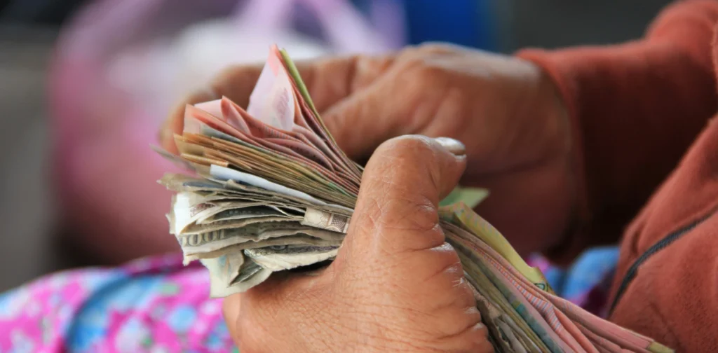 a person holding a bunch of cash