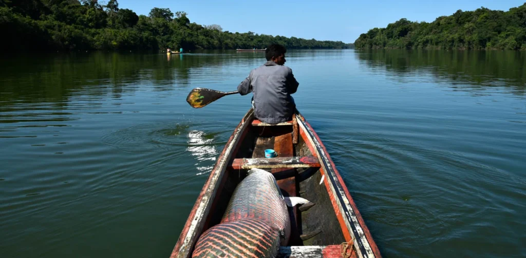 A man rowing a boat with a fish catch in his boat