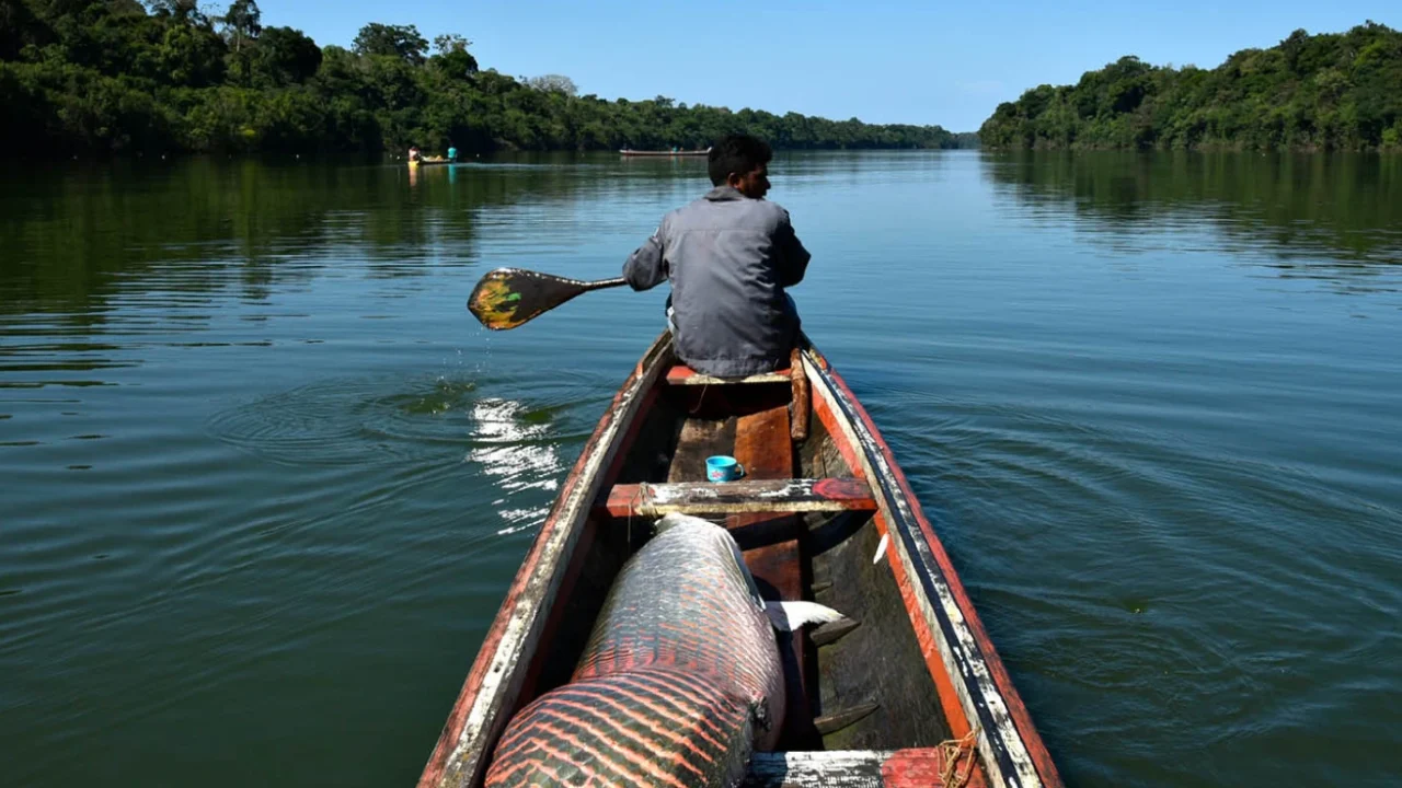 A man rowing a boat with a fish catch in his boat