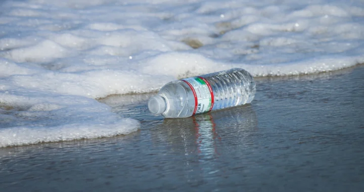 A plastic water bottle washed up on seashore
