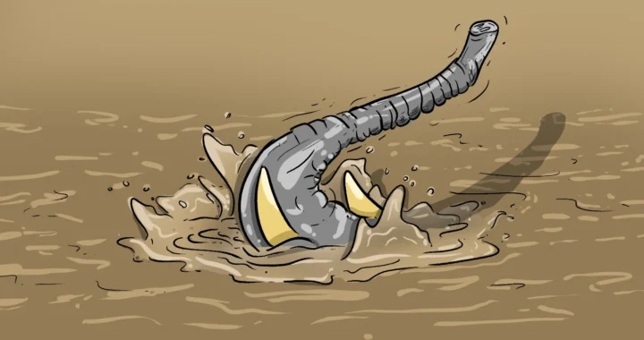 elephant drowned in flood water