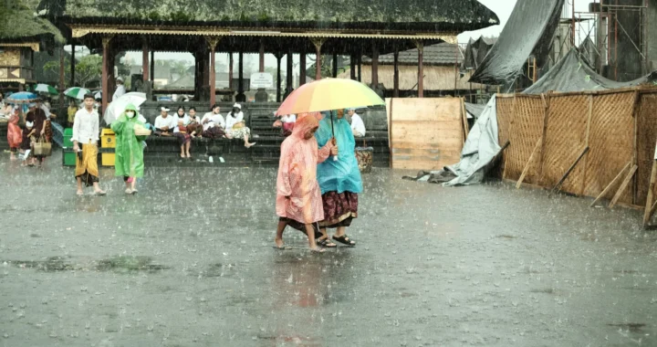 people wearing raincoat and holding umbrella walking in the rain