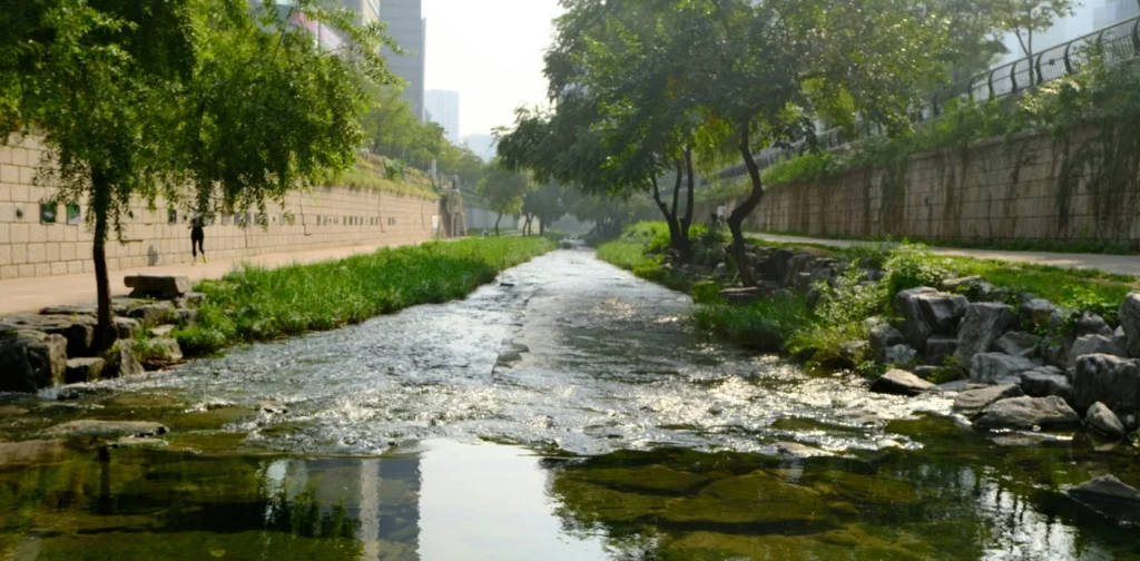 Cheonggyecheon river with greeneries by its sides, a building on the left and a road on the right
