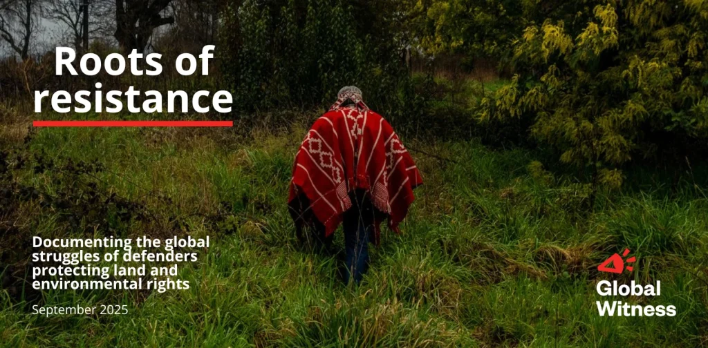 An Indigenous Mapuche leader walks across his ancestral land.