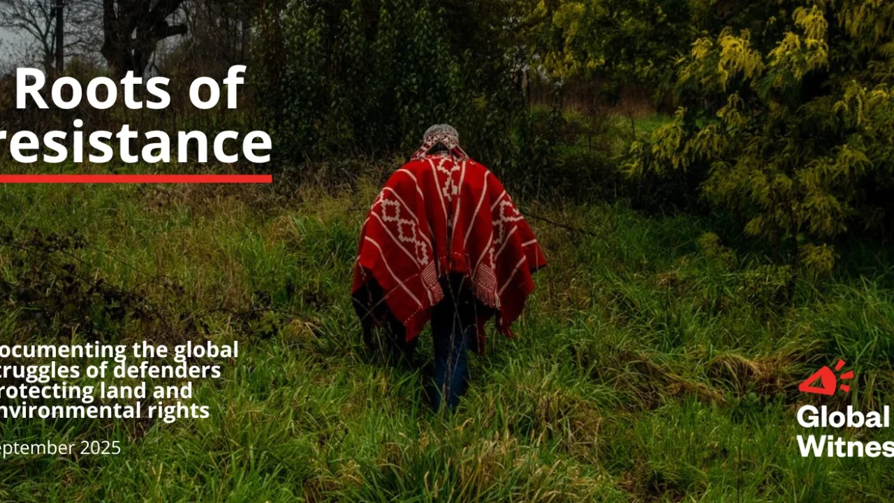 An Indigenous Mapuche leader walks across his ancestral land.