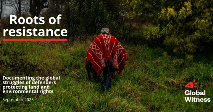 An Indigenous Mapuche leader walks across his ancestral land.
