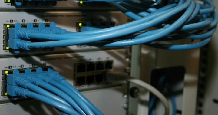 multiple blue cables plugged on a machine