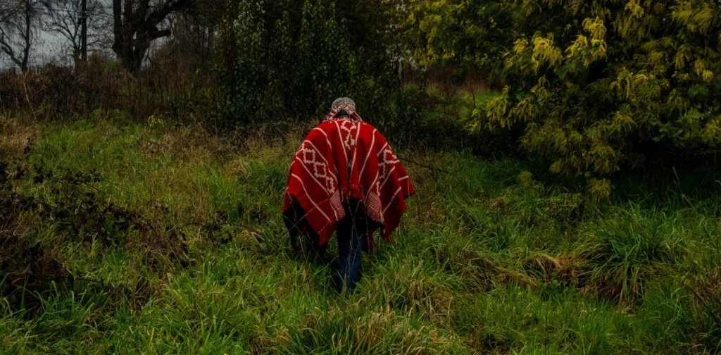 An Indigenous Mapuche leader walks across his ancestral land.