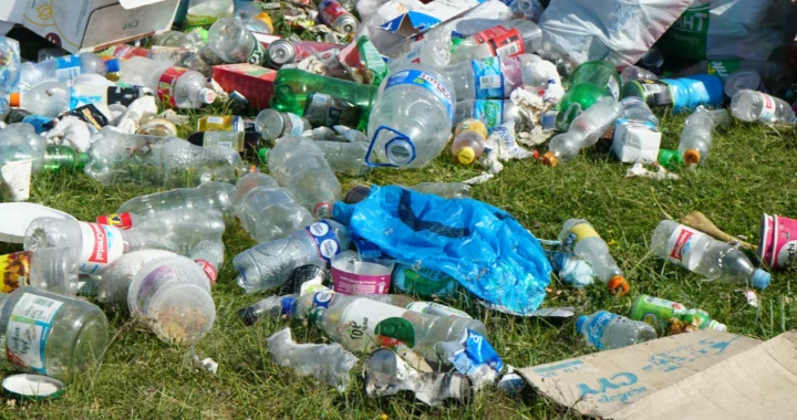Large pile of discarded trash on grass, including plastic bottles, bags, cardboard boxes, and food containers, scattered in an outdoor area.