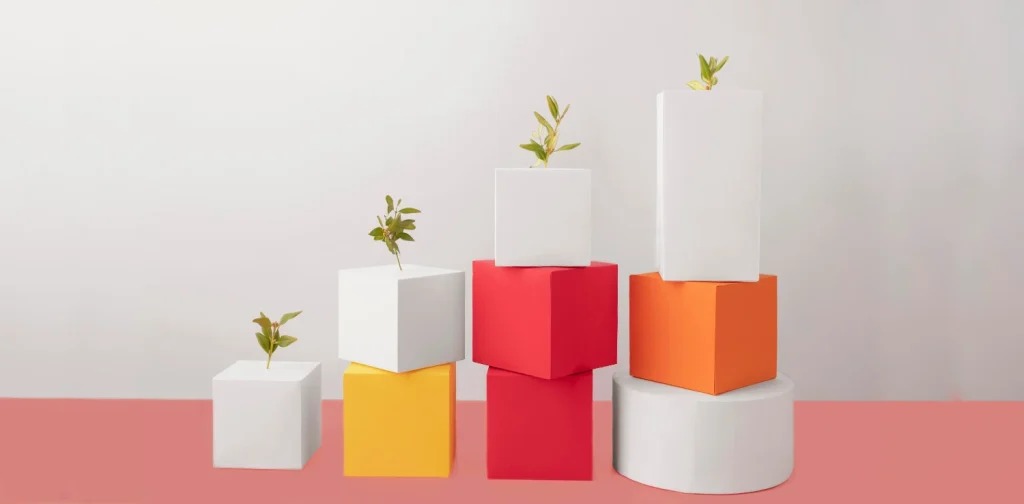 four plants on top of ascending boxes