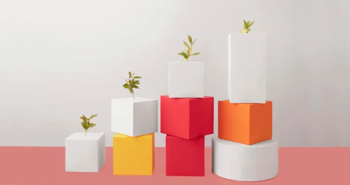 four plants on top of ascending boxes